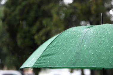 Sağanak yağmur altında yeşil şemsiye, yakın çekim.