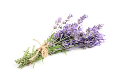 Beyaz bir demet güzel lavanta çiçeği