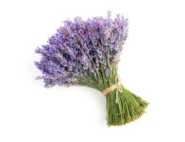 Beyaz, üst manzara izole güzel lavanta çiçekleri demeti
