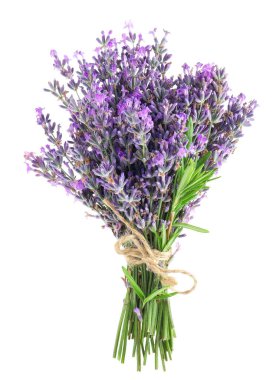 Beyaz bir demet güzel lavanta çiçeği