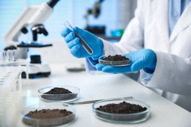 Petri kabı ve test tüpünü elinde tutan bilim adamı, kapalı alanda, beyaz masada toprak örnekleri ile, yakın çekim