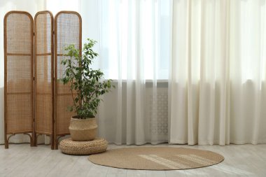 Oturma odasında perdeleri olan pencere kenarındaki ev bitkisi ve katlanan ekran. İç tasarım