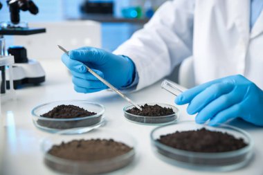 Bilim adamı, laboratuardaki beyaz masada araştırma yapmak için toprak örneği alıyor.