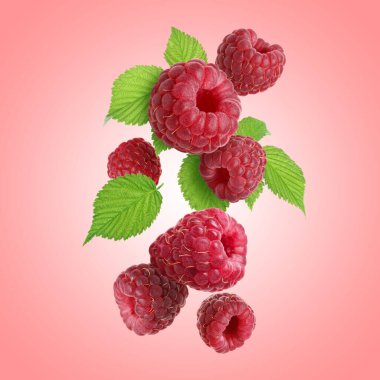 Pembe arka plana düşen taze ahududu ve yeşil yapraklar.