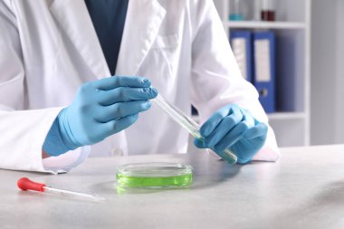 Bilim adamı, laboratuvardaki gri masadan örnek alıyor. Yakın plan. Çözüm kimyası