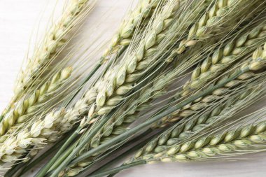 Masada bir sürü yeşil buğday çivisi var.