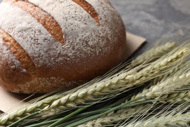 Taze ekmek ve yeşil buğday çivileri gri masada, yakın plan.