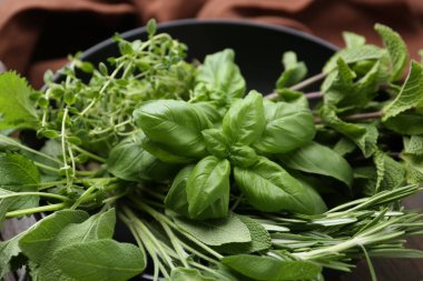 Masada farklı yeşil otlar var, yakın plan.