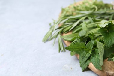 Gri masada farklı yeşil otlar, yakın plan. Metin için boşluk