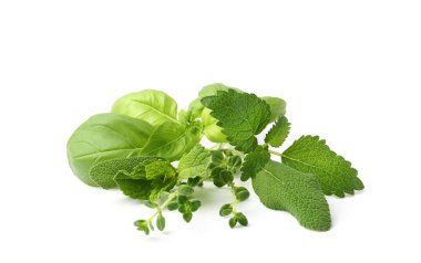 Beyazlara ayrılmış farklı taze yeşil otlar.