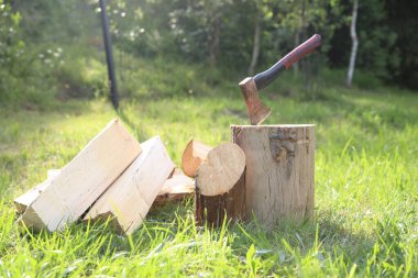Metal balta, yakacak odun ve yeşil çimlerin üzerinde tahta kütük.