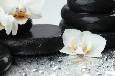 Güzel orkide çiçekleri, su damlaları ve ayna yüzeyindeki spa taşları, yakın plan.