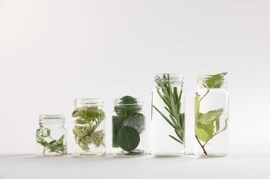 Açık gri arkaplan üzerinde farklı bitkiler bulunan temel yağlar