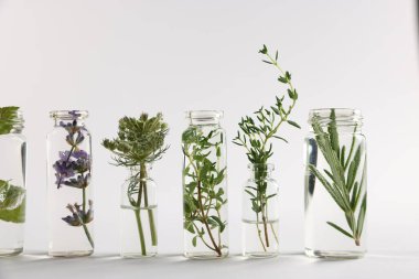 Açık gri arkaplan üzerinde farklı bitkiler bulunan temel yağlar