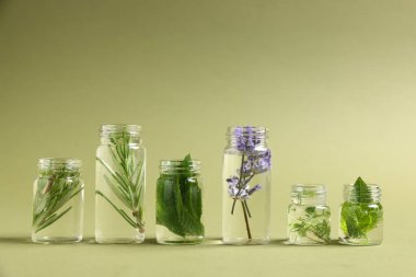 Yeşil zemin üzerinde farklı bitkiler bulunan temel yağlar