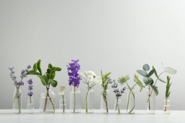 Cam şişelerdeki farklı bitkiler açık gri arka plana karşı beyaz masada gerekli yağlar.