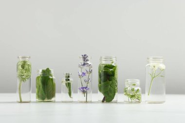 Cam şişelerdeki farklı bitkiler açık gri arka plana karşı beyaz masada gerekli yağlar.