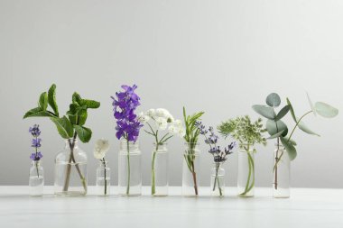 Cam şişelerdeki farklı bitkiler açık gri arka plana karşı beyaz masada gerekli yağlar.