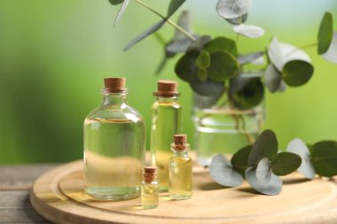 Kaliteli yağlar ve okaliptüs dalları açık havada, ahşap masa üzerinde, yakın plan.