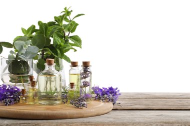 Beyaz arka plana karşı ahşap masa üzerinde gerekli yağlar ve farklı bitkiler.