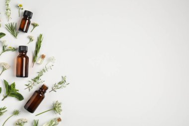 Temel yağlar ve beyaz arka planda farklı bitkiler. Metin için boşluk