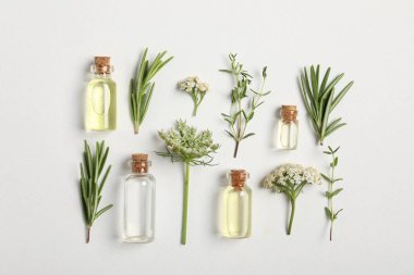 Temel yağlar ve beyaz zemin üzerinde farklı bitkiler, düz yatıyordu