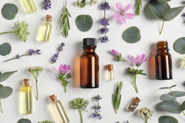 Temel yağlar ve beyaz zemin üzerinde farklı bitkiler, düz yatıyordu