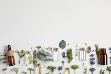 Temel yağlar ve beyaz arka planda farklı bitkiler. Metin için boşluk