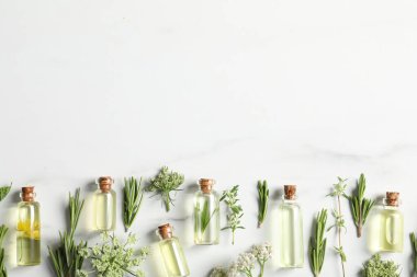 Temel yağlar ve beyaz arka planda farklı bitkiler. Metin için boşluk