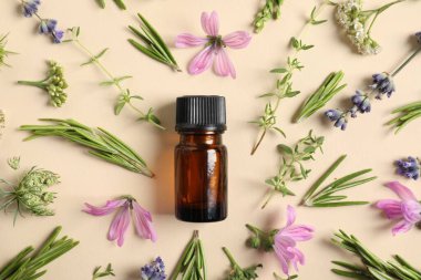 Temel yağ ve bej arka planda farklı bitkiler, düz yatıyordu