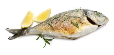 Beyaza izole edilmiş baharatlı Dorado balığı. Ev yapımı deniz ürünleri yemeği.