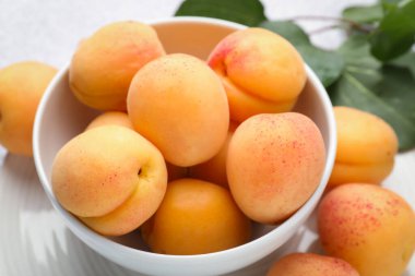 Masada taze kayısılar, yakın plan.