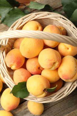 Hasır sepetin içinde taze kayısılar ve ahşap masanın üzerinde yeşil yapraklar.