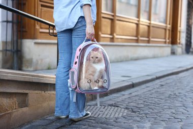 Şehir caddesinde sırt çantalı kedisi olan bir kadın, yakın plan. Metin için boşluk