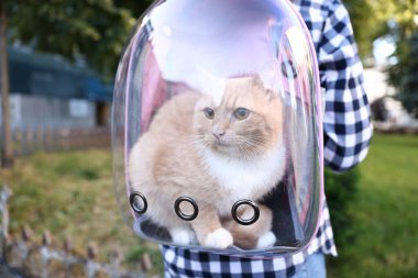 Sırt çantasında kedisi olan bir kadın parkta, yakın plan.