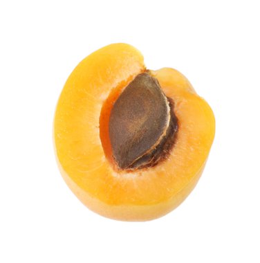 Taze olgun kayısı çekirdeği beyaza izole edilmiş