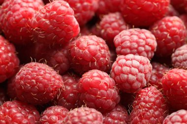Many fresh ripe raspberries as background, closeup