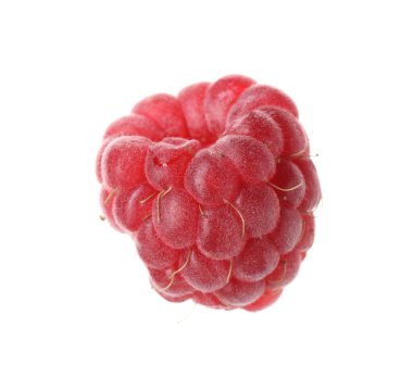 Beyaza izole edilmiş taze bir ahududu.