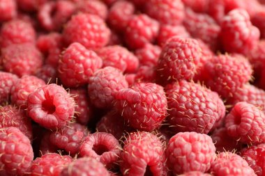 Many fresh ripe raspberries as background, closeup