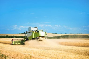 Buğday tarlasında çalışan biçerdöver.