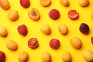 Sarı arka planda bir sürü taze kayısı, düz uzanmış