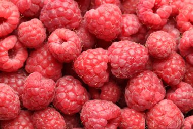 Arka plan olarak pek çok taze ahududu, üst görünüm