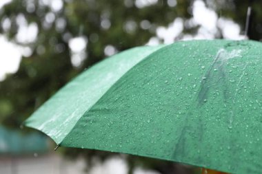 Sağanak yağmur altında yeşil şemsiye, yakın çekim.