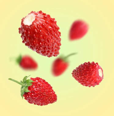 Taze olgun yabani çilekler, renk değişimine karşı.