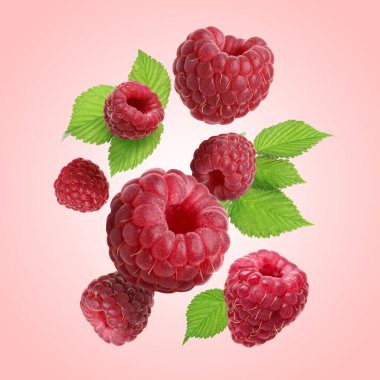 Pembe arka plana düşen taze ahududu ve yeşil yapraklar.