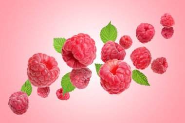 Pembe arka planda uçuşan taze ahududu ve yeşil yapraklar.