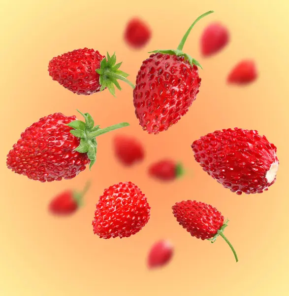 Taze olgun yabani çilekler, renk değişimine karşı.