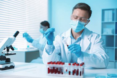 Tıbbi analiz. Laboratuvarda kan örneğiyle çalışan bir bilim adamı.