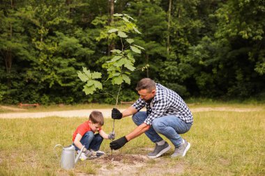 Baba ve oğlu dışarıda toprağa ağaç dikiyorlar.