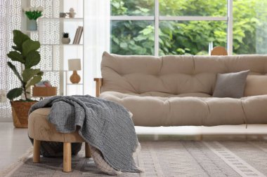 Şık bir kanepe ve oturma odasındaki diğer mobilyalar. İç tasarım